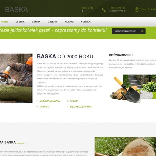 Wycinka drzew śląskie - Sosnowiec